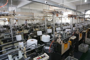 平邑手套厂揽获3600万美元外贸大单，国内贸易代理模式助力县域经济腾飞